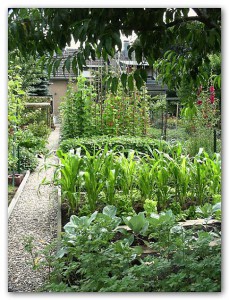 Ein Blick in Fabios Bauerngarten.